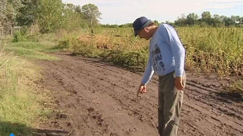 Los vecinos encontraron huellas del animal cerca de la ruta 36. 